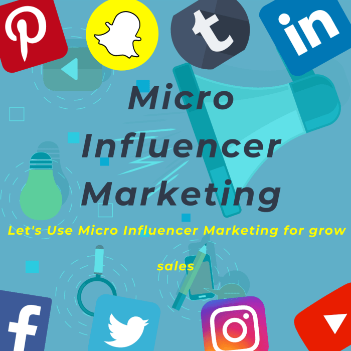 Using Micro-Influencers in Marketing