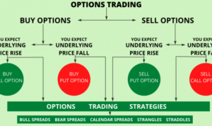 Options trading explained for beginners