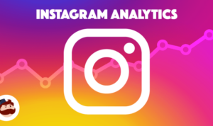 Using Instagram Analytics