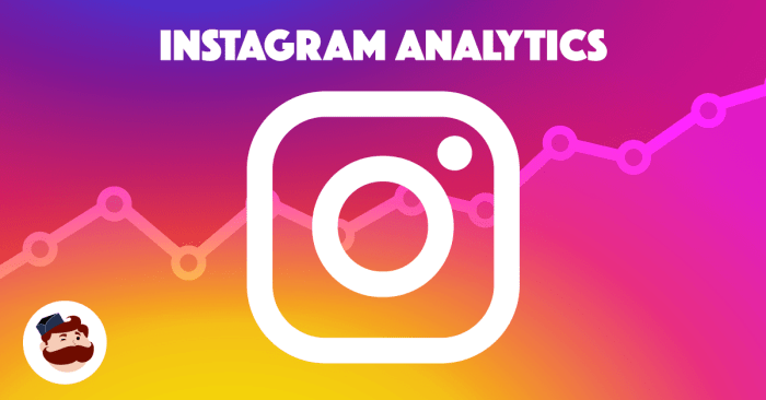 Using Instagram Analytics